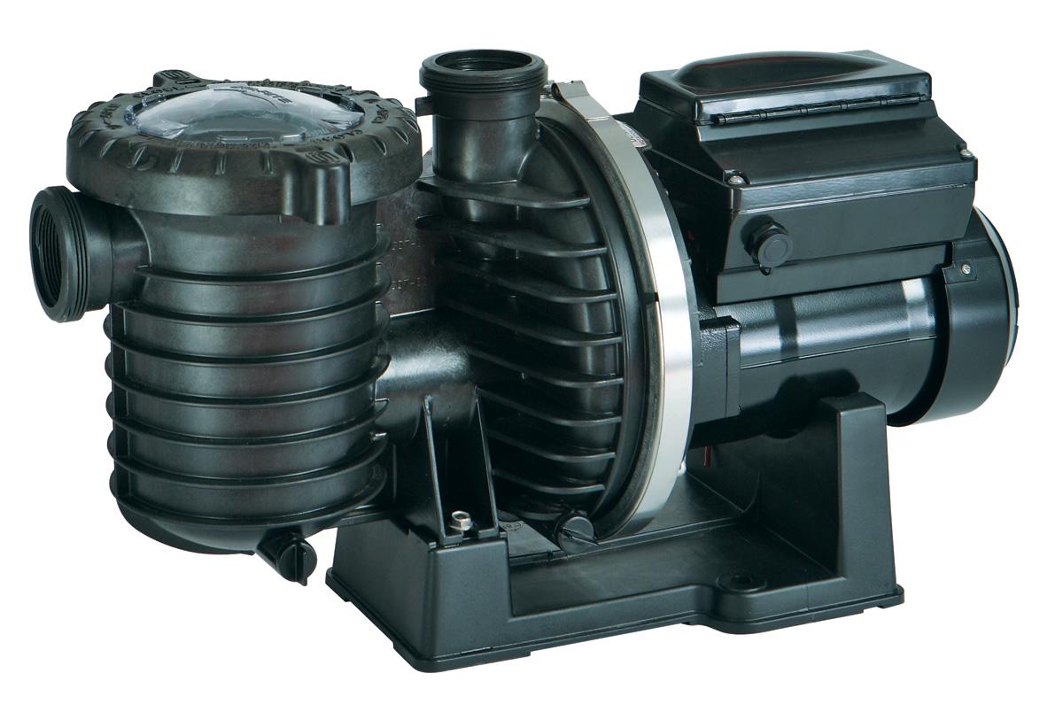 Sta-Rite Intellipro VF Pool Pump