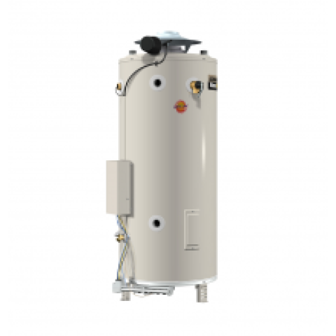 A.O. Smith Master-Fit BTR-198 LPG Water Heater