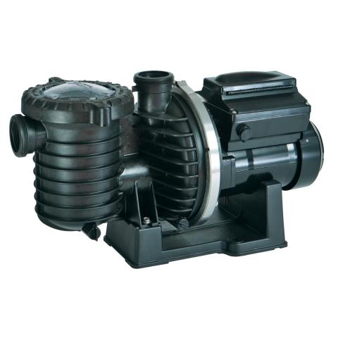 Sta-Rite Intellipro VF Pool Pump