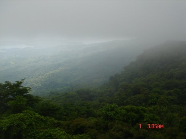 mountain view