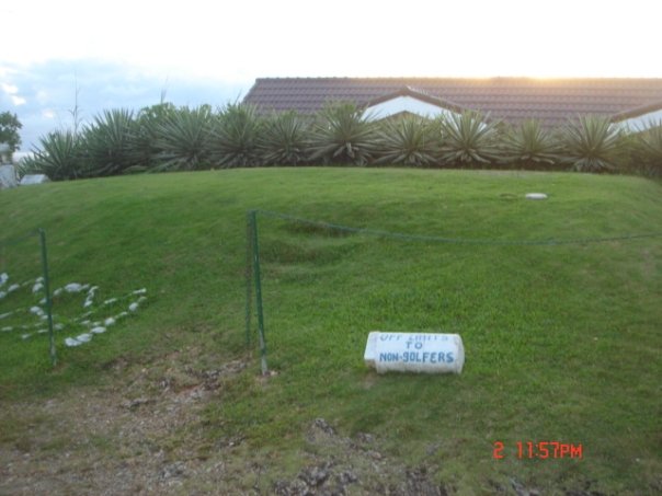 grass