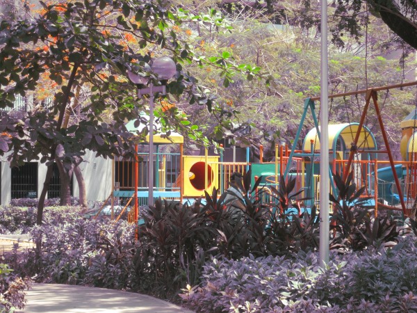 play ground