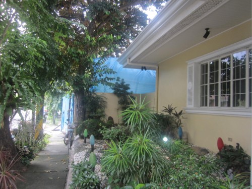 Back Gate View 2