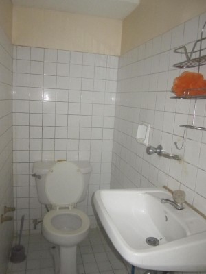 Bathroom View 1