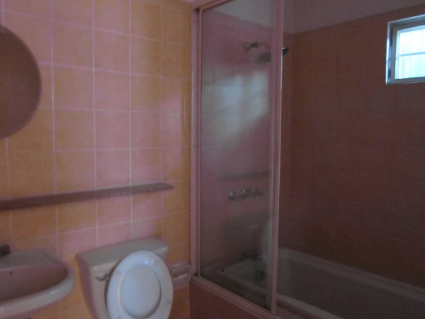 Bathroom View 1