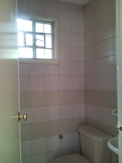 Bathroom View 1