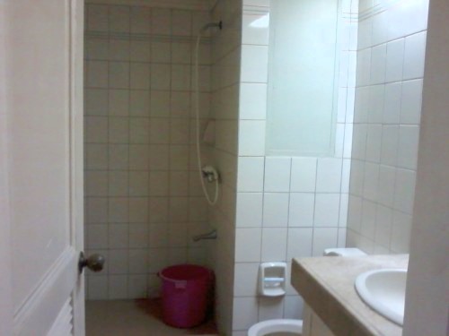 Bathroom View 2