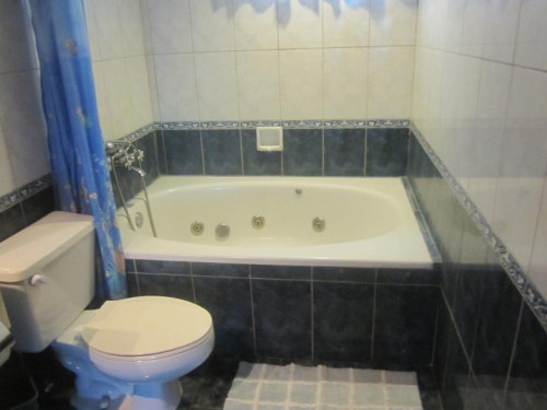Bathroom View 2