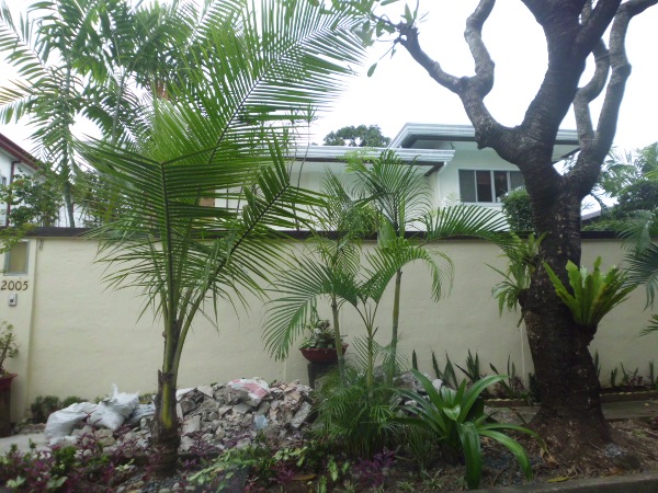 Front View