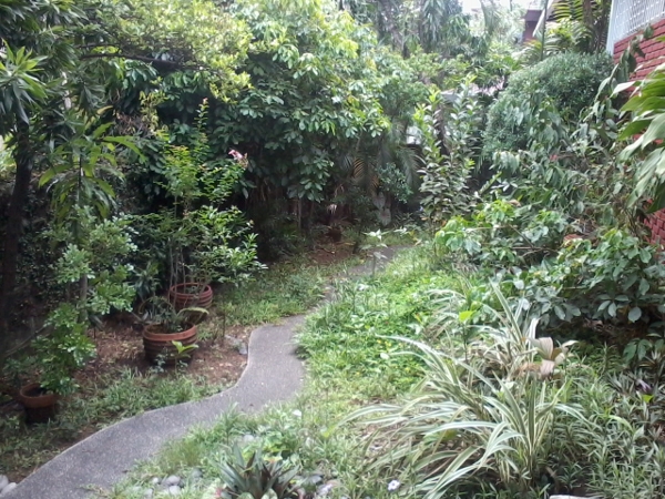 Garden View 1