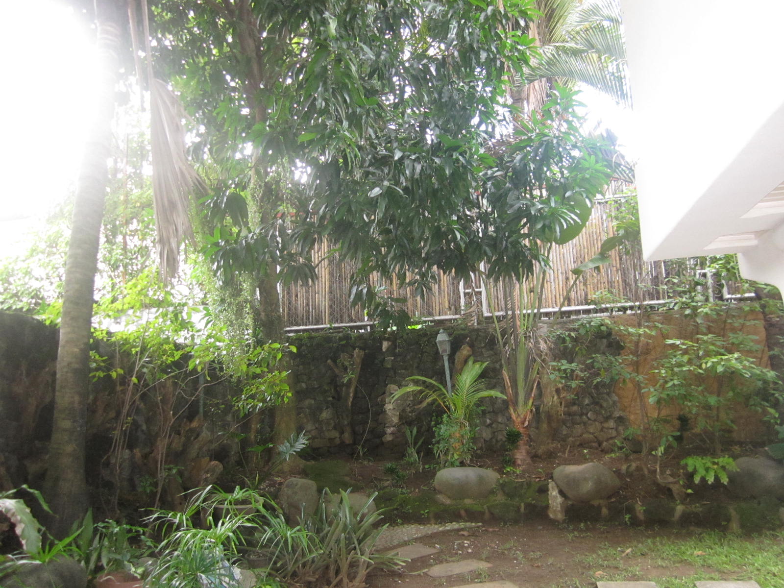 Garden View 2