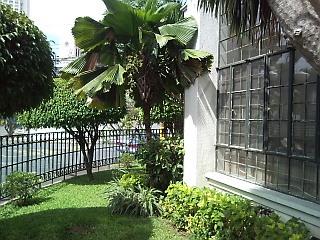 Garden View 2