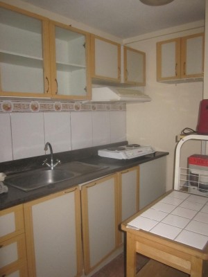 Kitchen View 1