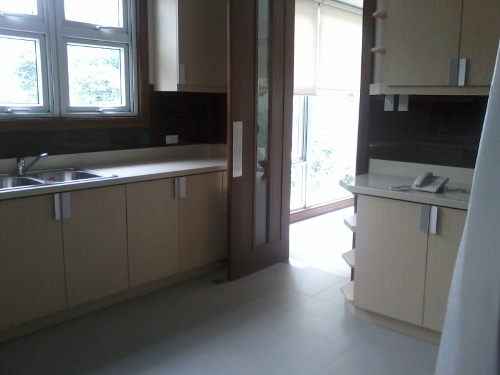 Kitchen View 1