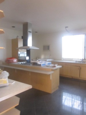 Kitchen View 1