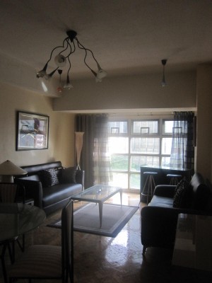 Living room view 1