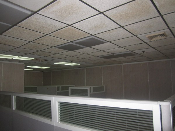 Office View 3