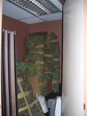 Room View 7