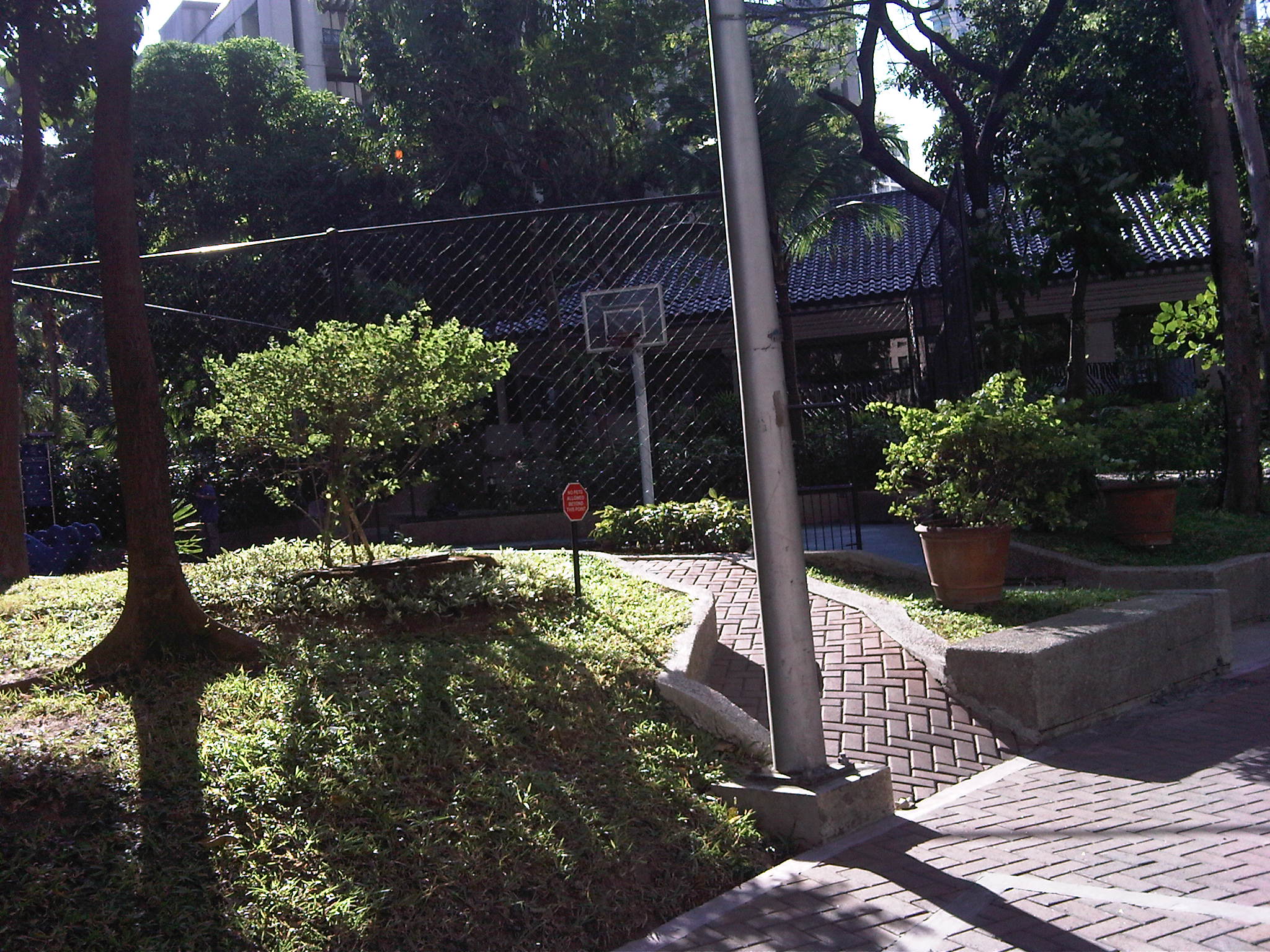 Basketball court