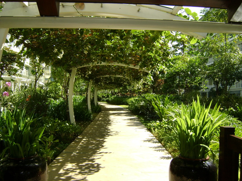One Serendra